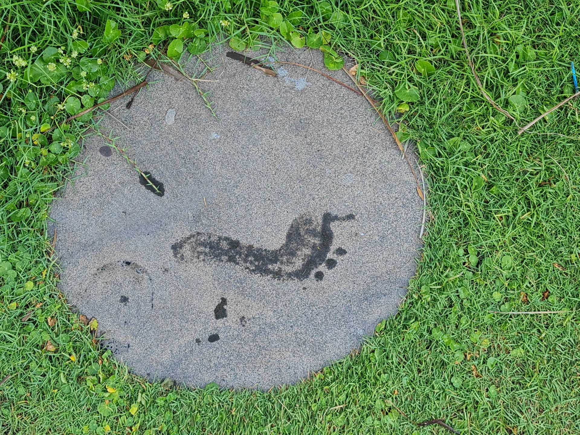 Arne3