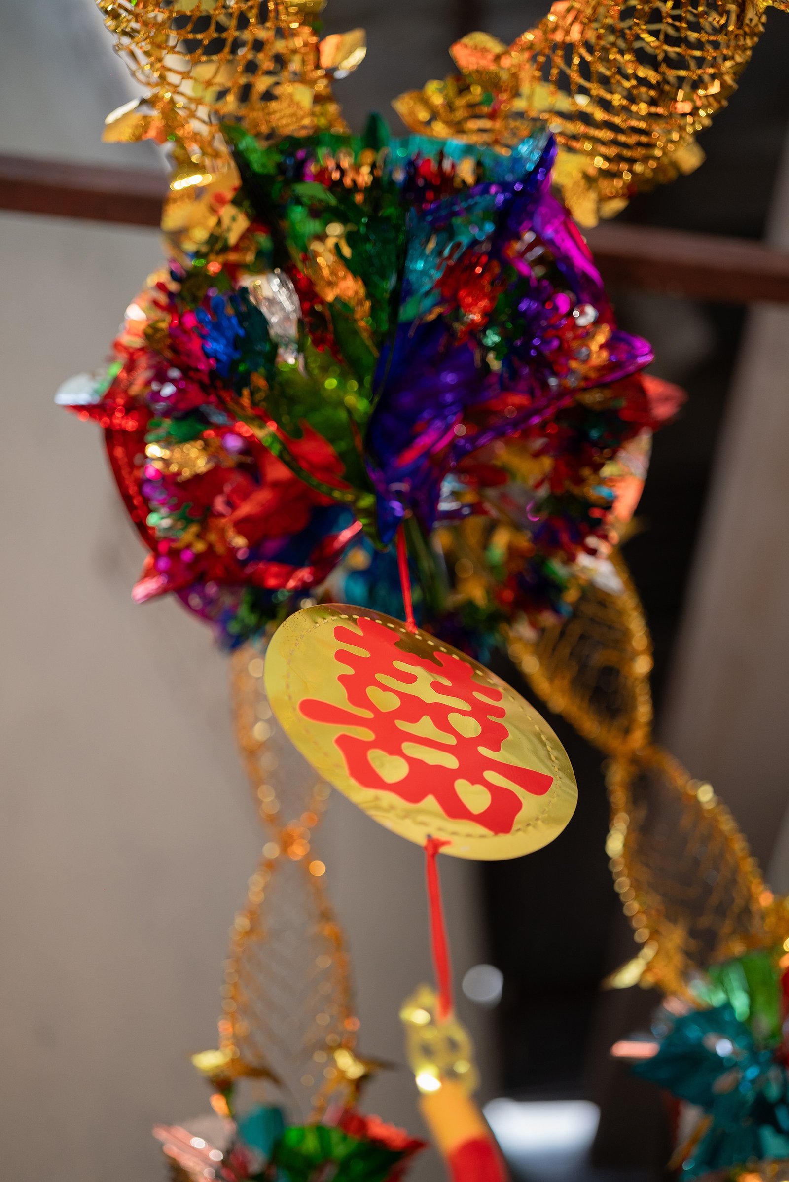 DSC_1868